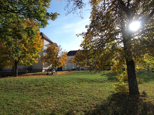 Bild Nr. 4